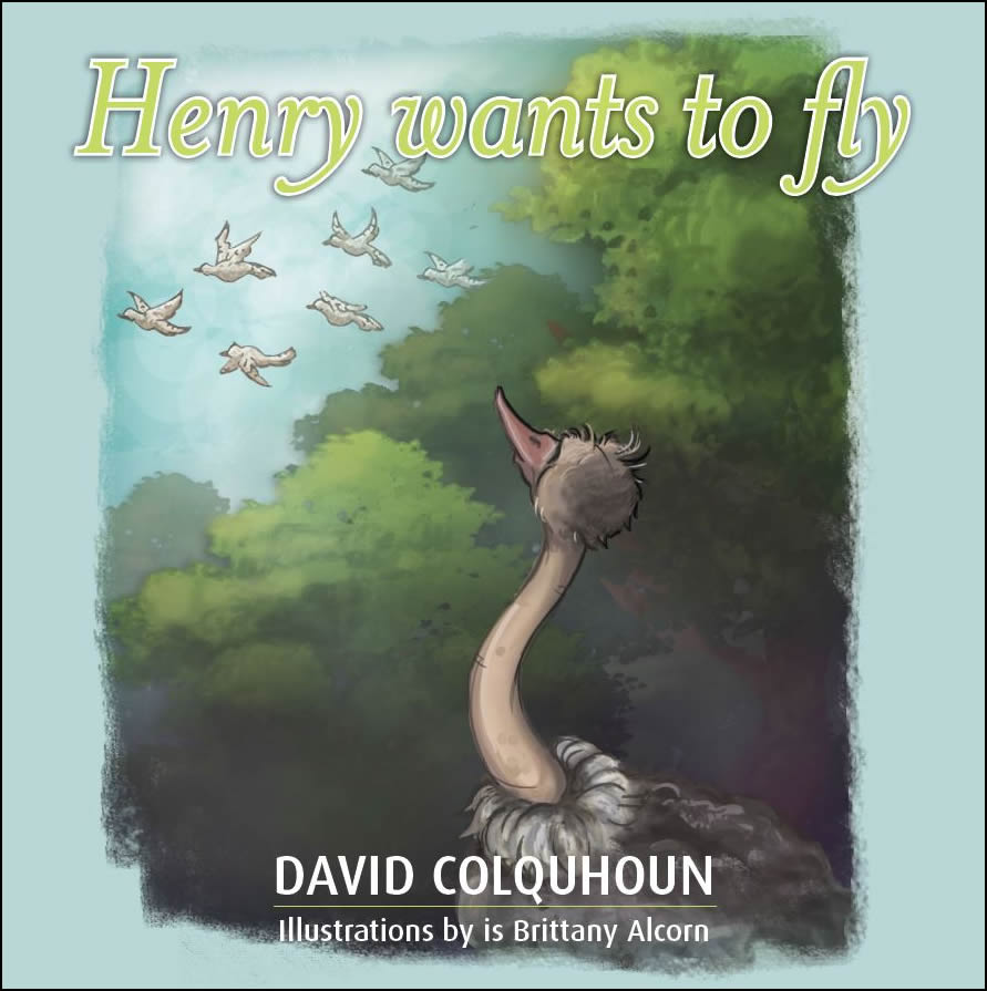Henry wants to fly